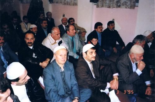 008-Memisoglu-scaled